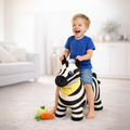 Square zebra toy image